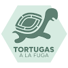Salas de escape en Alicante (Alacant) Salas Escape Room Centros Negocio Tortugas A La Fuga - Juguetería Mimitos Escape Room